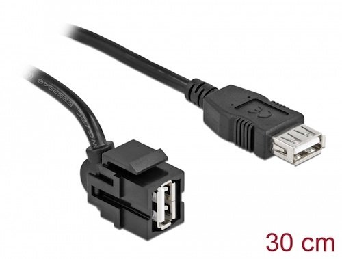 Adapt. USB 2.0 A H Angulo 250 <-> USB 2.0 A H 30 cm Modulo Keystone Negro Delock